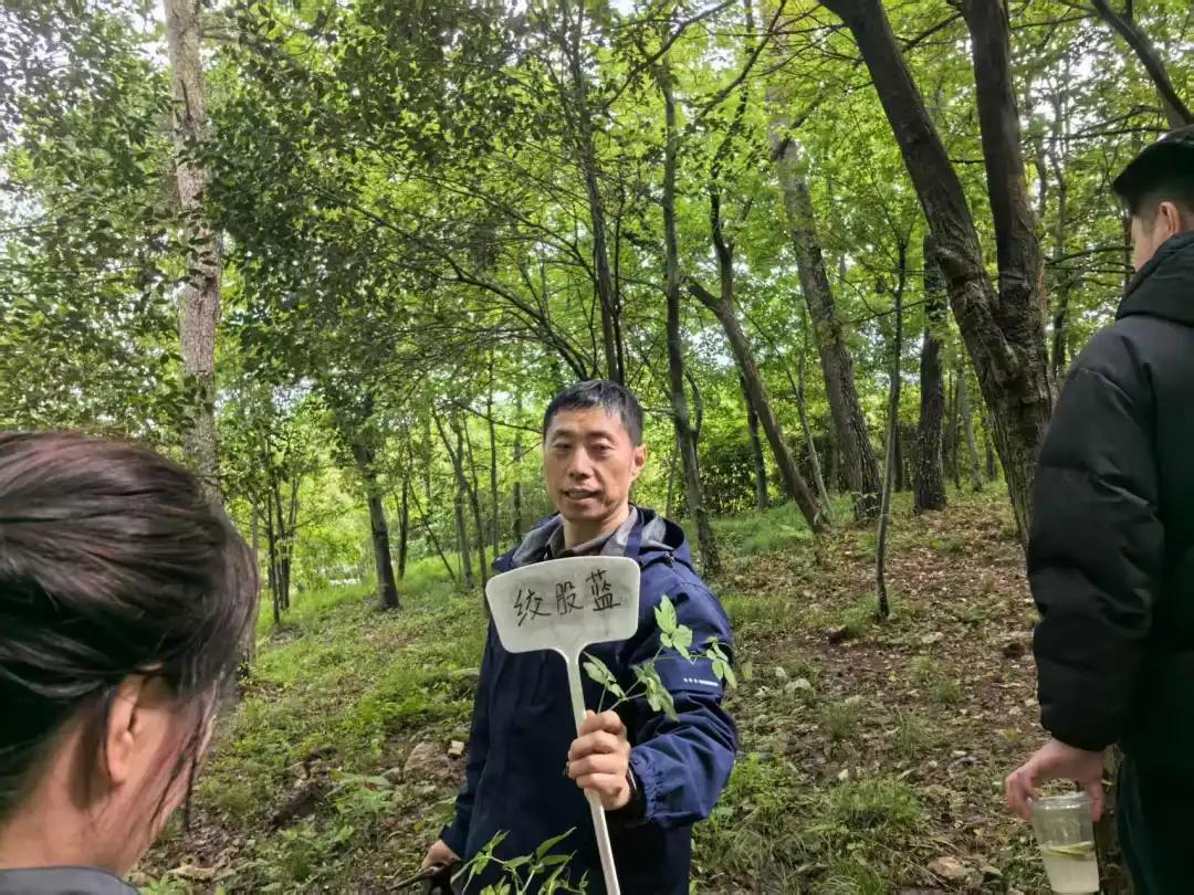 赌博网站